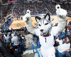 The Husky mascot at the XL Center in Hartford
