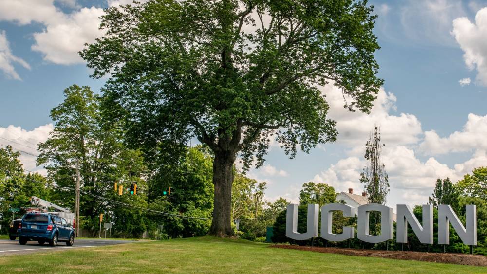 UConn Zoom background